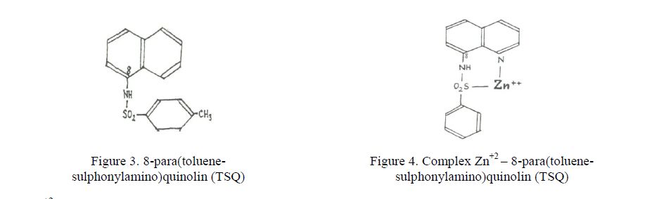 8-para(toluene- sulphonylamino)quinolin (TSQ)
