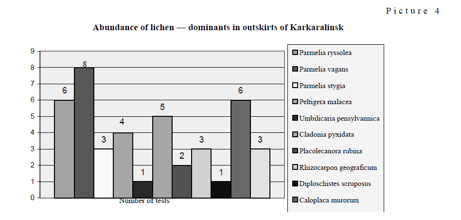 Abundance of lichen — dominants in outskirts of Karkaralinsk
