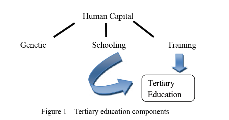 How Kazakhstani tertiary education financing can positively affect on the increase of the human capital?