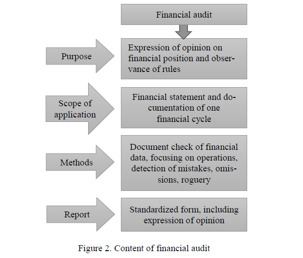 Content of financial audit 