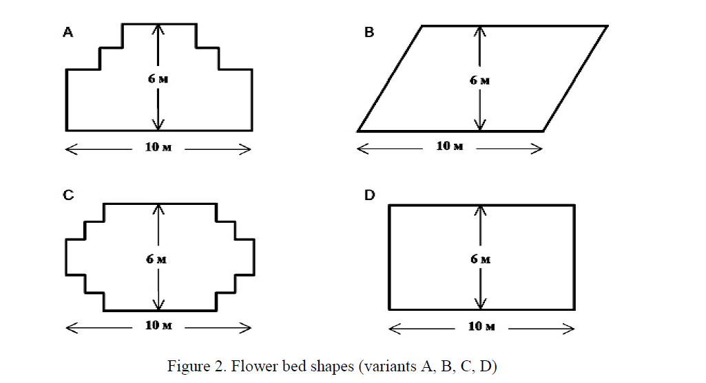 Flower bed shapes (variants A, B, C, D) 
