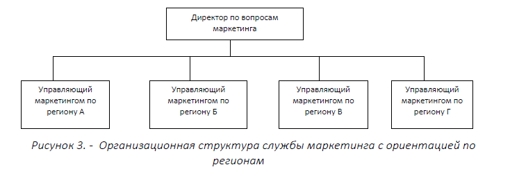 Организационная структура службы маркетинга с ориентацией по регионам