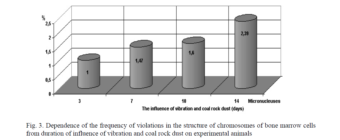 Dependence of the frequency of violations in the structure of chromosomes of bone marrow cells from duration of influence of vibration and coal rock dust on experimental animals