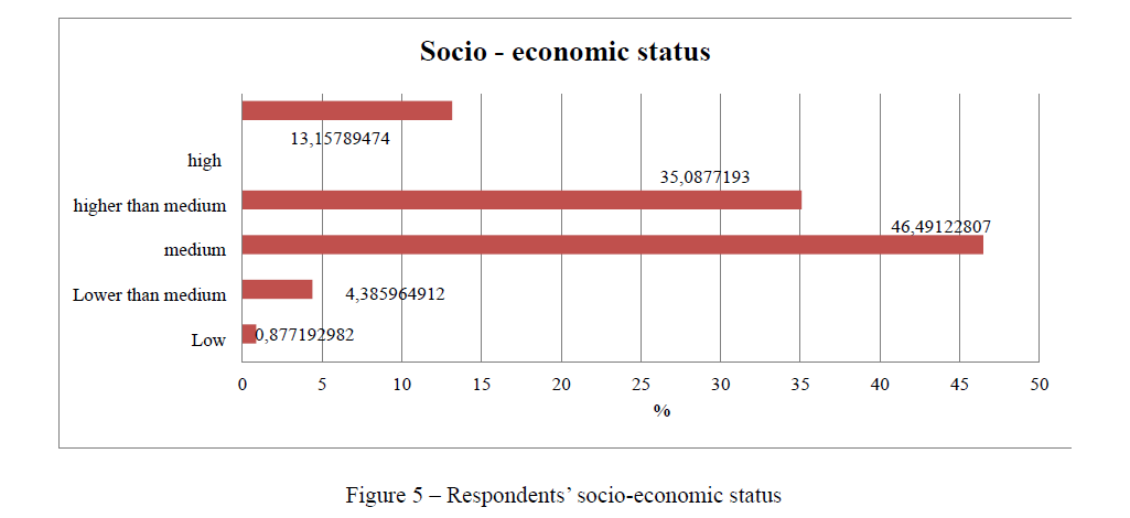 Respondents’ socio-economic status 